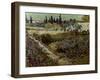 Blossoming Garden and Path-Vincent van Gogh-Framed Giclee Print