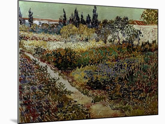 Blossoming Garden and Path-Vincent van Gogh-Mounted Giclee Print
