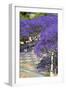 Blossoming Jacaranda Trees-Neil Farrin-Framed Premium Photographic Print