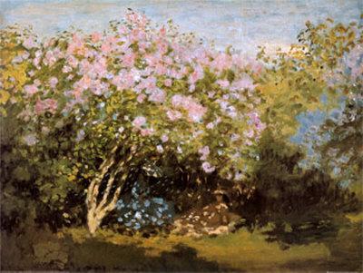 https://imgc.allpostersimages.com/img/posters/blossoming-lilac-in-the-sun-c-1873_u-L-ERLLX0.jpg?artPerspective=n