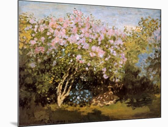 Blossoming Lilac in the Sun, c.1873-Claude Monet-Mounted Art Print