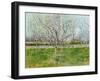 Blossoming Orchard, 1888-Vincent van Gogh-Framed Giclee Print