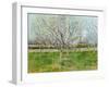 Blossoming Orchard, 1888-Vincent van Gogh-Framed Giclee Print