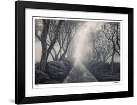 Blossoming Path-Donald Satterlee-Framed Giclee Print