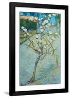 Blossoming Pear Tree-Vincent van Gogh-Framed Art Print