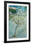 Blossoming Pear Tree-Vincent van Gogh-Framed Art Print