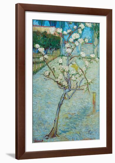 Blossoming Pear Tree-Vincent van Gogh-Framed Art Print