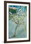 Blossoming Pear Tree-Vincent van Gogh-Framed Art Print