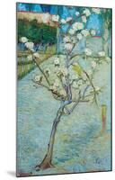 Blossoming Pear Tree-Vincent van Gogh-Mounted Art Print