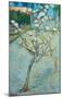 Blossoming Pear Tree-Vincent van Gogh-Mounted Art Print