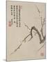 Blossoming Plum from a Flower Album of Ten Leaves, 1656-Shengmo Xiang-Mounted Giclee Print