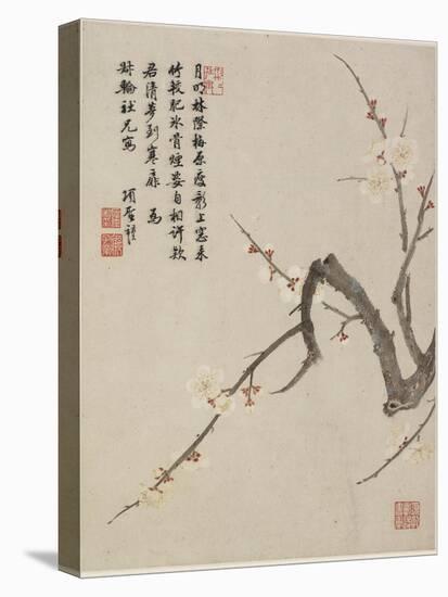 Blossoming Plum from a Flower Album of Ten Leaves, 1656-Shengmo Xiang-Stretched Canvas