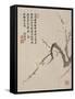 Blossoming Plum from a Flower Album of Ten Leaves, 1656-Shengmo Xiang-Framed Stretched Canvas