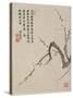 Blossoming Plum from a Flower Album of Ten Leaves, 1656-Shengmo Xiang-Stretched Canvas