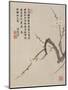 Blossoming Plum from a Flower Album of Ten Leaves, 1656-Shengmo Xiang-Mounted Giclee Print