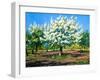 Blossoming, Spring Garden-balaikin2009-Framed Art Print