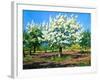 Blossoming, Spring Garden-balaikin2009-Framed Art Print