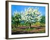 Blossoming, Spring Garden-balaikin2009-Framed Art Print