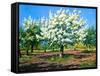 Blossoming, Spring Garden-balaikin2009-Framed Stretched Canvas