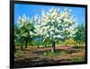 Blossoming, Spring Garden-balaikin2009-Framed Art Print