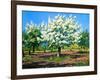 Blossoming, Spring Garden-balaikin2009-Framed Art Print