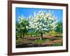 Blossoming, Spring Garden-balaikin2009-Framed Art Print