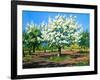 Blossoming, Spring Garden-balaikin2009-Framed Art Print