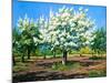 Blossoming, Spring Garden-balaikin2009-Mounted Art Print