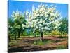 Blossoming, Spring Garden-balaikin2009-Stretched Canvas