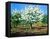 Blossoming, Spring Garden-balaikin2009-Framed Stretched Canvas