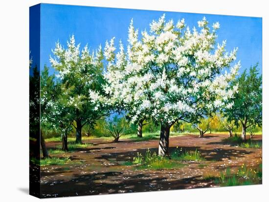 Blossoming, Spring Garden-balaikin2009-Stretched Canvas