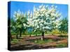 Blossoming, Spring Garden-balaikin2009-Stretched Canvas