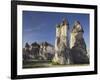 Blossoming Tree and Fairy Chimneys Near Pasabagi, Tuff Stone, Gšreme, Cappadocia, Anatolia, Turkey-Rainer Mirau-Framed Photographic Print