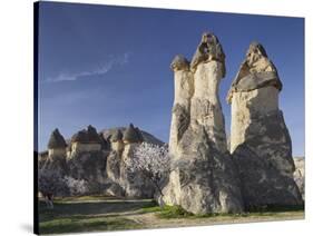 Blossoming Tree and Fairy Chimneys Near Pasabagi, Tuff Stone, Gšreme, Cappadocia, Anatolia, Turkey-Rainer Mirau-Stretched Canvas
