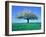 Blossoming Tree in Field-Herbert Kehrer-Framed Photographic Print