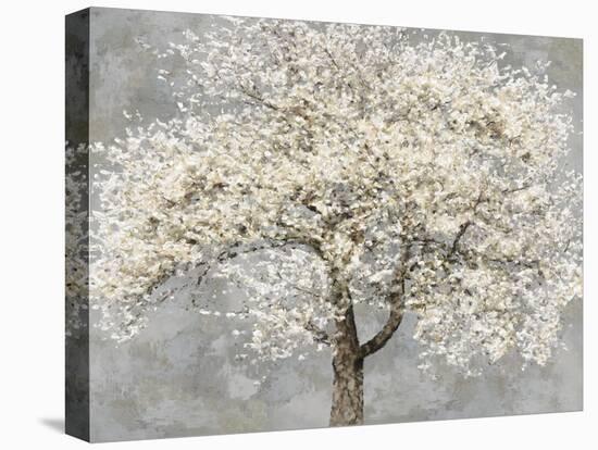 Blossoming Tree-Tania Bello-Stretched Canvas