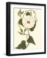 Blossoming Vine I-Sydenham Teast Edwards-Framed Art Print