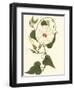 Blossoming Vine I-Sydenham Teast Edwards-Framed Art Print