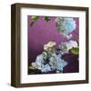 Blossoms 07-Rick Novak-Framed Art Print