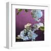 Blossoms 07-Rick Novak-Framed Art Print