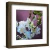 Blossoms 08-Rick Novak-Framed Art Print