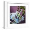Blossoms 08-Rick Novak-Framed Art Print