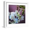 Blossoms 08-Rick Novak-Framed Art Print