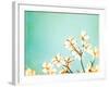 Blossoms Adrift-Carolyn Cochrane-Framed Photographic Print