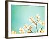 Blossoms Adrift-Carolyn Cochrane-Framed Photographic Print