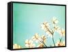 Blossoms Adrift-Carolyn Cochrane-Framed Stretched Canvas