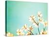 Blossoms Adrift-Carolyn Cochrane-Stretched Canvas