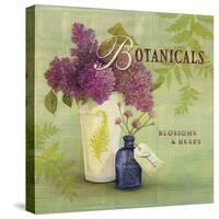 Blossoms and Herbs-Angela Staehling-Stretched Canvas