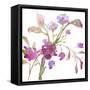 Blossoms and Roots I-Marabeth Quin-Framed Stretched Canvas