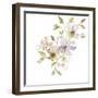 Blossoms and Roots VI-Marabeth Quin-Framed Art Print